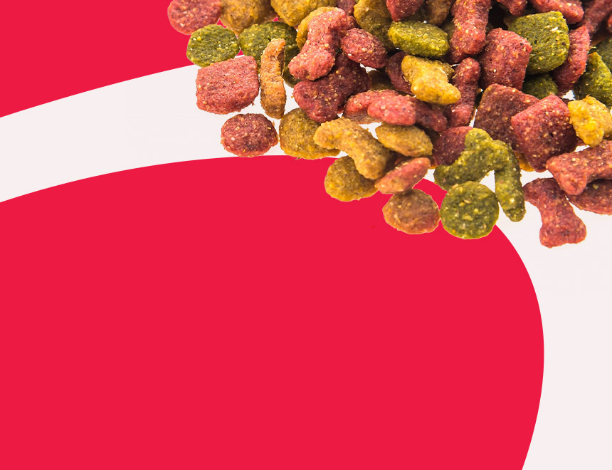Nutrição animal